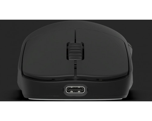 Endgame Gear OP1w 4k v2 Wireless Gaming Mouse, 4,000Hz - black