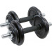 Eb Fit dumbbells cast iron 2 x 9.5 kg