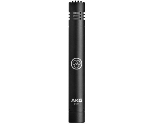AKG P170 - pojemnościowy, instrumentalny