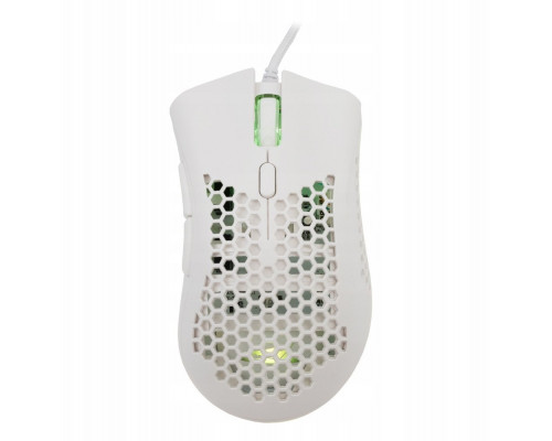 Baracuda BGM-031 Coral biały