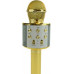 TG67276 MIKROFON BEZPRZEWODOWY KARAOKE DO ŚPIEWANIA BLUETOOTH GŁOŚNIK