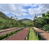 RWANDA MUHABURA ROYAL ROBUSTA OMNIROAST 1kg