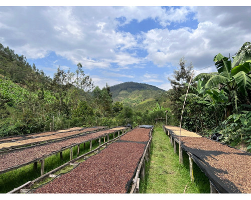 RWANDA MUHABURA ROYAL ROBUSTA OMNIROAST 1kg