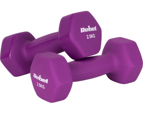 Hantelki cast iron neoprene HEX 2x2.5kg, REBEL ACTIVE