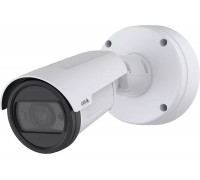 Axis AXIS P1485-LE - Kamera do monitoringu sieciowego - Kula - Na zewnątrz - Odporna na wandalizm / Odporna na warunki atmosferyczne - Farb (Tag&Nacht) - 2 MP - 1920 x 1080 - stała ogniskowa - Audio - Ethernet 10Base-T/100Base-TX/1000Base-TX - H