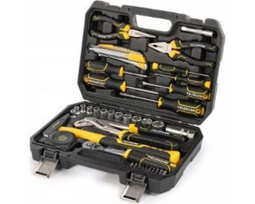 Fieldmann FDG 5023-47R Zestaw narzdzi 47 elem.