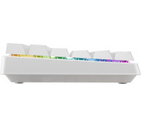 Cherry K33 COMPACT FS WIRELESS/KEYBOARD WHITE GERMANY