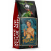 Blue Orca Coffee 1kg blend Paloma Blue Orca Limited Edition do ekspresu