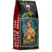 Blue Orca Coffee 1kg blend Paloma Blue Orca Limited Edition do ekspresu