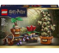 LEGO Harry Potter Rośliny z lekcji zielarstwa w Hogwarcie (76474)