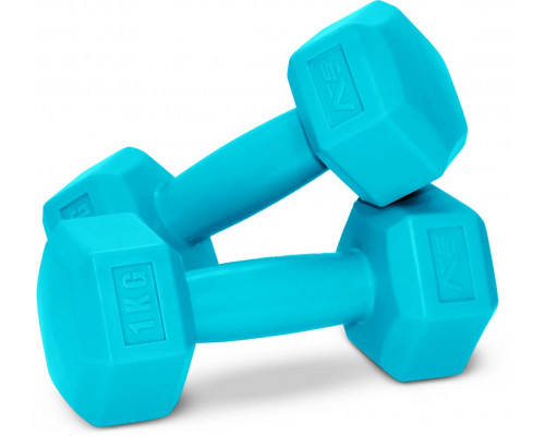 SportVida GYM & Fitness Comfort Hexagonal Shape Dumbbell Set 2kg
