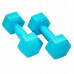 SportVida GYM & Fitness Comfort Hexagonal Shape Dumbbell Set 2kg