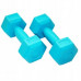 SportVida GYM & Fitness Comfort Hexagonal Shape Dumbbell Set 2kg