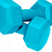 SportVida GYM & Fitness Comfort Hexagonal Shape Dumbbell Set 2kg