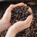 Roastains Roastains Kostaryka Cascara 250g
