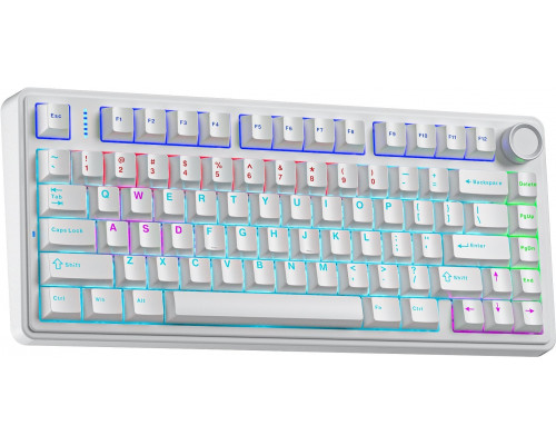 Aula Gasket F75 White Red Switch 80 klawiszy RGB (AUF75-W-R)