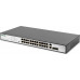 Switch Digitus DN-95343