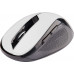C-Tech (WLM-02W)