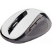 C-Tech (WLM-02W)
