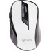 C-Tech (WLM-02W)