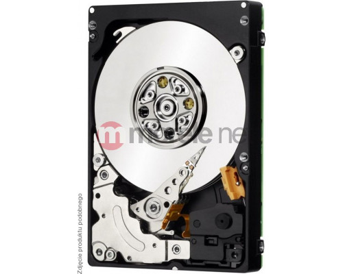 IBM 1TB 2.5'' SAS-2 (6Gb/s)  (81Y9836)