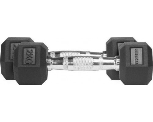 Thorn+Fit Dumbbells Hexagonalne Hex 2x2kg