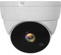 LevelOne LevelOne 4-in-1 Fixed Dome CCTV Analog Camera, FHD 1080P