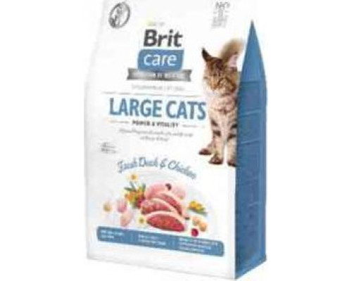 VAFO PRAHS Brit Care Cat Large Cats 7kg Power & Vitality Gf