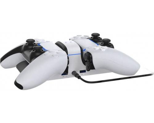 Raptor Gaming dual station charging to the pads PS4 / PS5