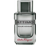 Salvatore Ferragamo Attimo Pour Homme EDT 100 ml