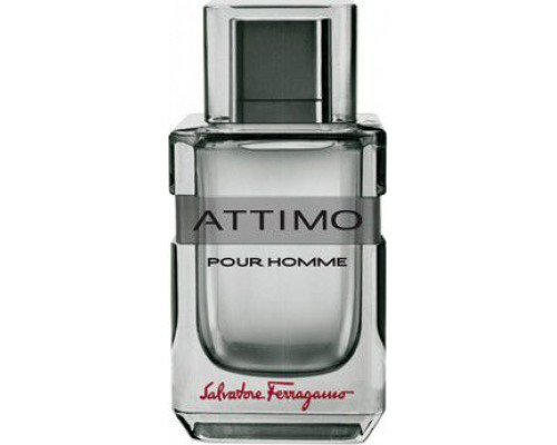 Salvatore Ferragamo Attimo Pour Homme EDT 100 ml