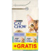 Purina Cat Chow Special Care Hairball Control 1,5kg + Saszetki 2x85g