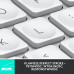 Logitech MX Keys Mini for Mac Pale Grey (920-010526)