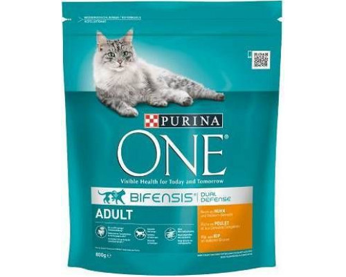 Purina One Cat Adult Food with chicken dla kota 800g