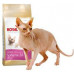 Royal Canin Sphynx Adult karma sucha dla kotów adults rasy sfinks 2kg