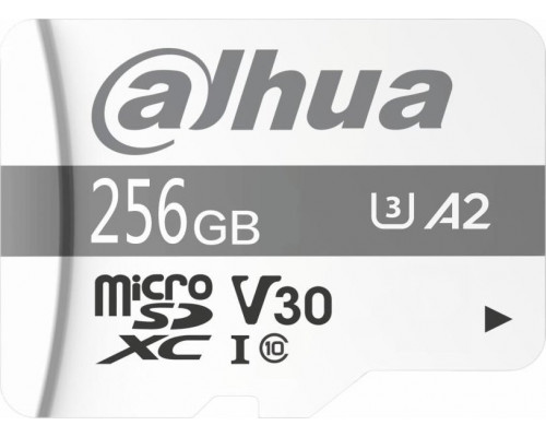 SD  Dahua Technology TF-P100 MicroSDXC 256 GB Class 10 UHS-I U3 A1 V30 (TF-P100-256G)