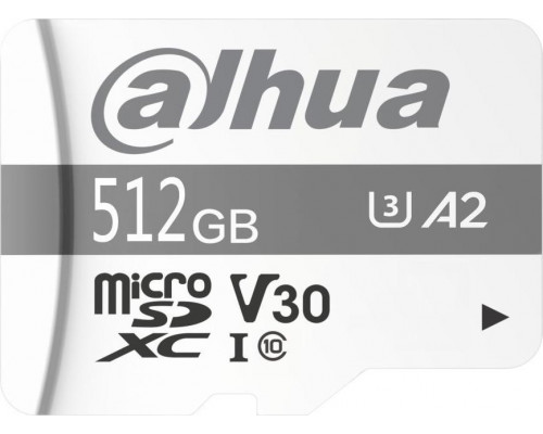 SD  Dahua Technology TF-P100 MicroSDXC 512 GB Class 10 UHS-I U3 A1 V30 (TF-P100-512GB)