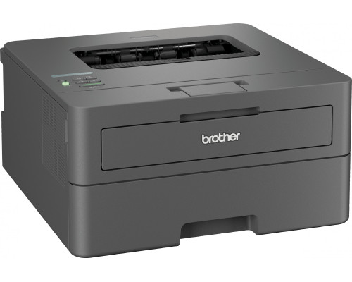 Brother HL-L2442DW (HLL2442DWYJ1)