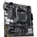 AMD A520 Asus PRIME A520M-E/CSM