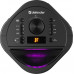 Defender Defender BOOMER 40 Bluetooth 40W MP3/FM/SD/USB/AUX/TWS/LED/MIC KARAOKE black PILOT