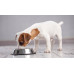 Brit Care Mono Protein Hypoallergenic Senior 12kg