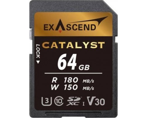 SD  ExAscend Catalyst SDXC 64 GB Class 10 UHS-I/U3 V30 (EX64GSDU1)