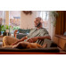 Philips TAH4209PK/00