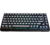 Ducky Ducky Tinker 75 Gaming Keyboard, RGB, black - MX-Blue (ANSI)