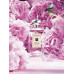 Jo Malone Perfumy Damskie Jo Malone EDC Peony & Blush Suede 100 ml