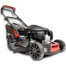 Cedrus HONDA  DO TRAWY CEDRUS KS53S-H  HONDA GCV200 5w1 53cm / 4.1 KM - EWIMAX - OFICJALNY DYSTRYBUTOR - AUTORYZOWANY DEALER CEDRUS