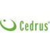 Cedrus HONDA  DO TRAWY CEDRUS KS53S-H  HONDA GCV200 5w1 53cm / 4.1 KM - EWIMAX - OFICJALNY DYSTRYBUTOR - AUTORYZOWANY DEALER CEDRUS