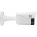 Zintronic Kamera  IP B4 3.6mm PoE + AUDIO