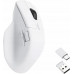 Keychron Keychron M6 Wireless (1000Hz) White Belaidė Pelė (Balta)