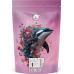 Blue Orca Coffee Limited Edition Specialty 500g Blue Orca Coffee - Meksyk Rodriguez Family